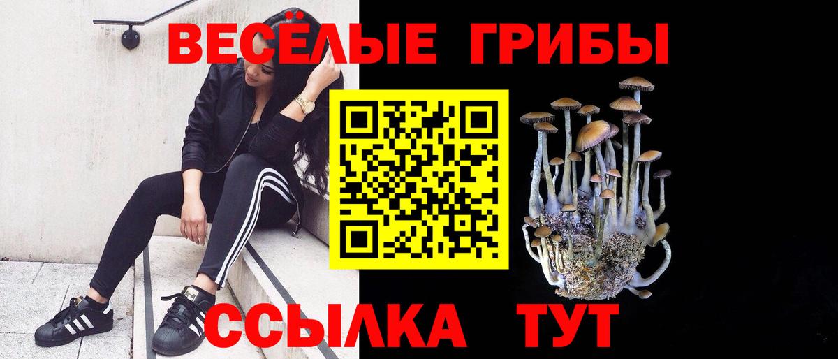 Псилоцибиновые грибы ЛСД  Вход с VPN  Галлюциногенные грибы Magic Shrooms  Новодвинск 